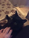 Salem