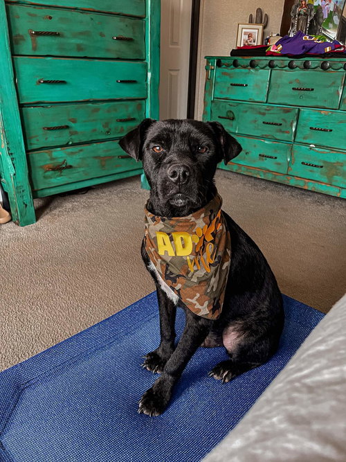 Bubba