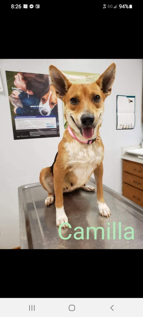 Camila