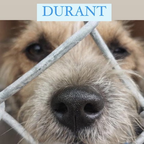 Durant