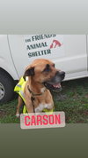 Carson