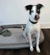 Patches