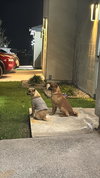 Ben & Jerry (BONDED)