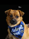 Ben & Jerry (BONDED)