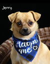 Ben & Jerry (BONDED)