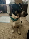 Casey