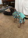 Zeek
