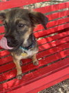 Zeek