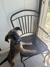 Zeek