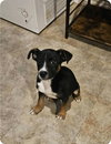 Charlie