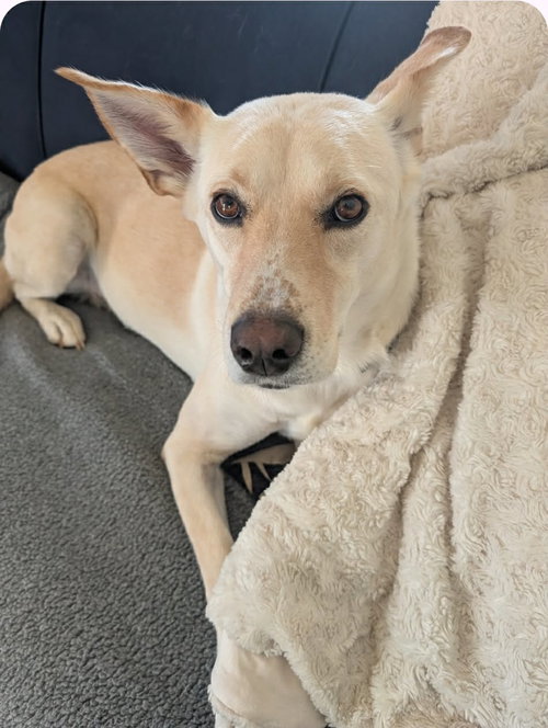 Coco