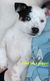 Luke