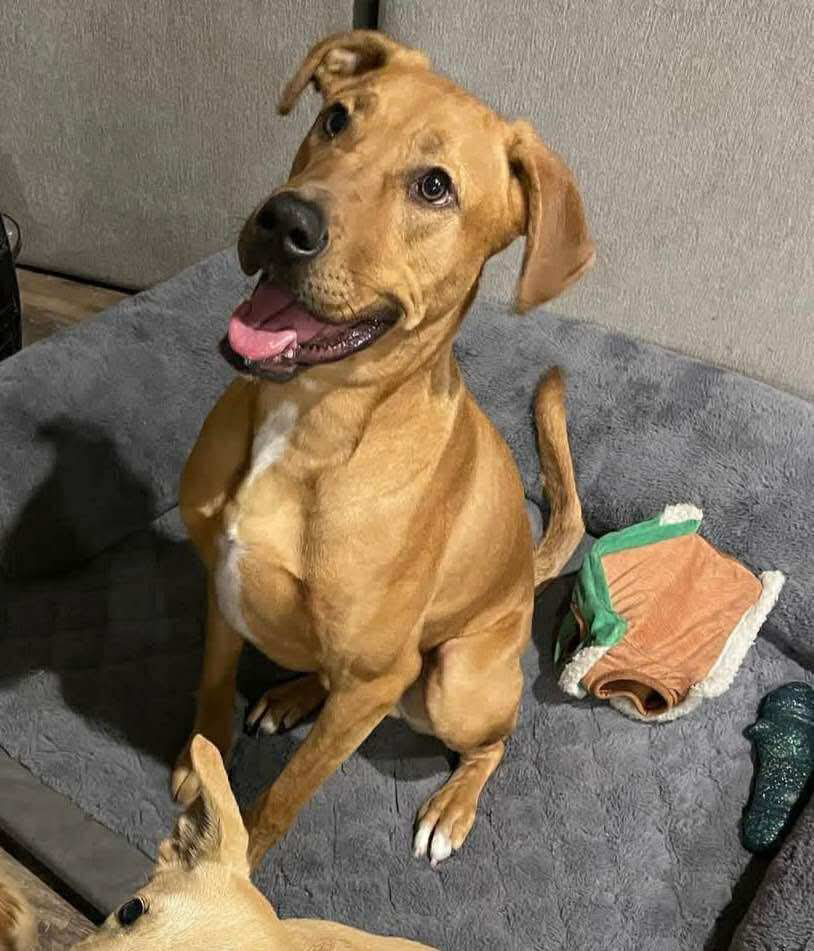 Cooper