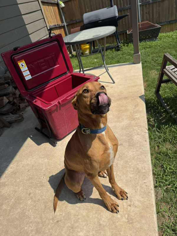 Cooper