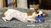 Minnie and Mickey (BONDED)