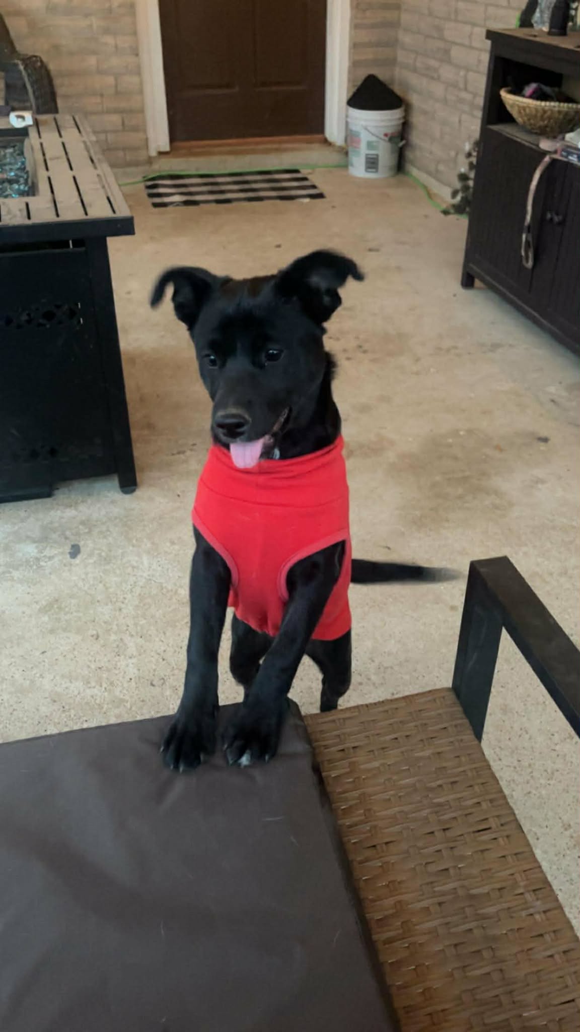 Frida