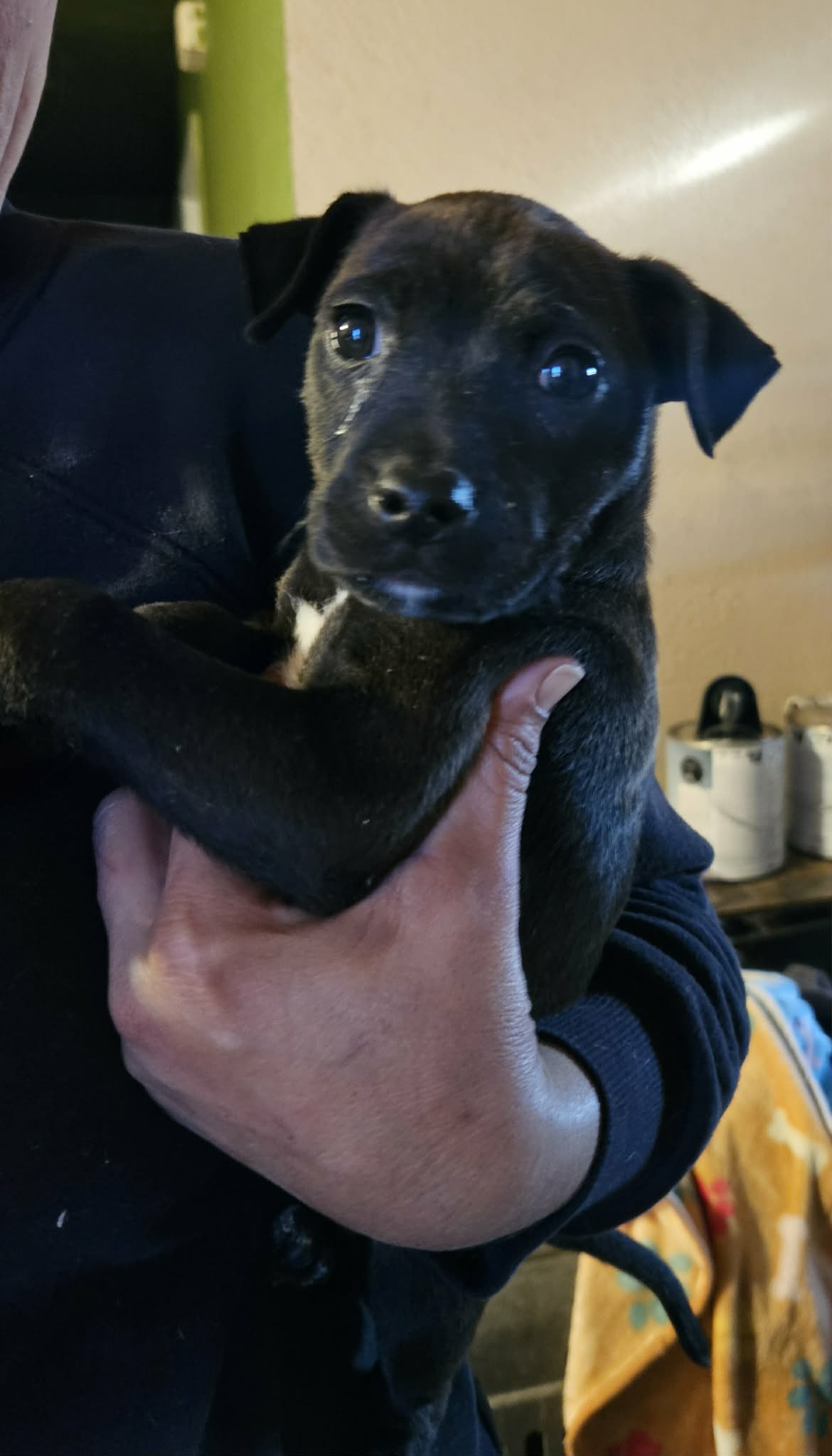 Cash