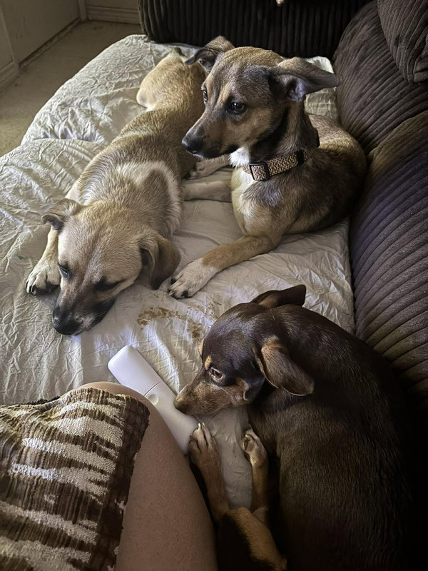 Luna and Zeus