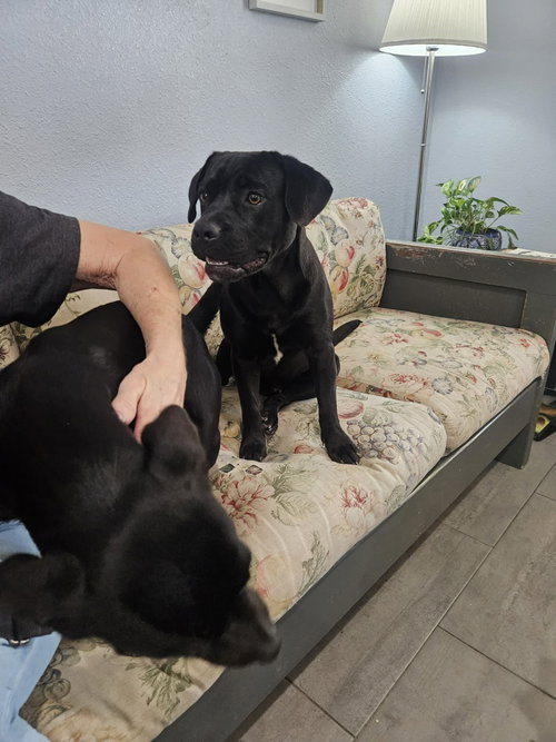Midnight photo 4