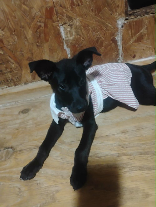 Zena photo 3