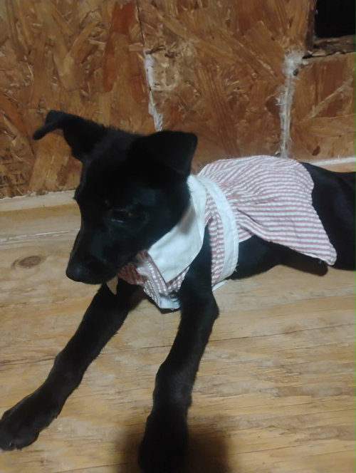 Zena photo 4