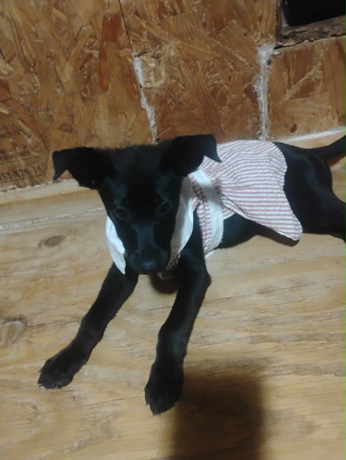Zena photo 5