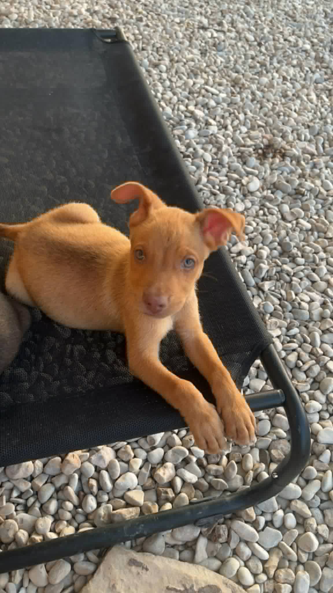 Rusty-M image 4