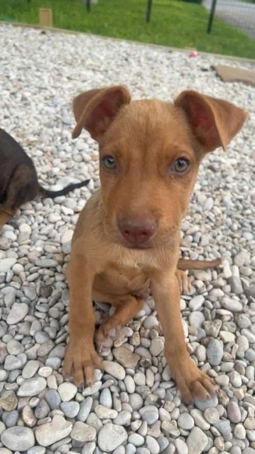 Rusty-M photo 3