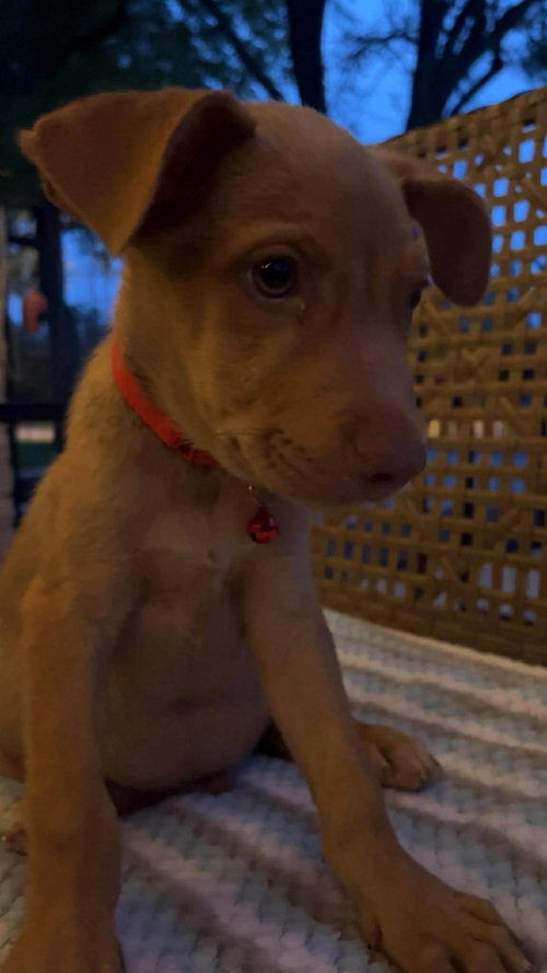 Rusty-M photo 4
