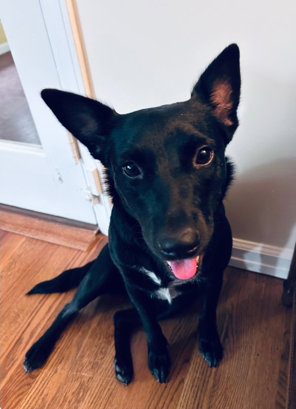 Penny