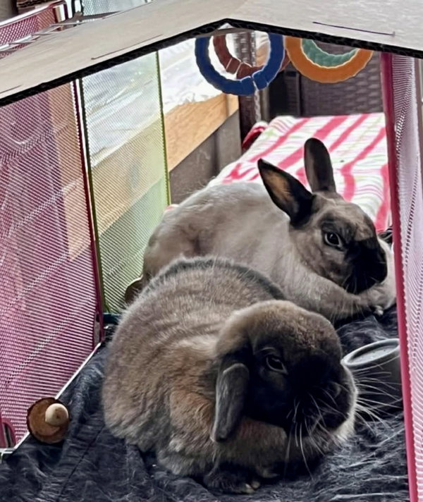 Marshy  *Bonded to Charlotte*