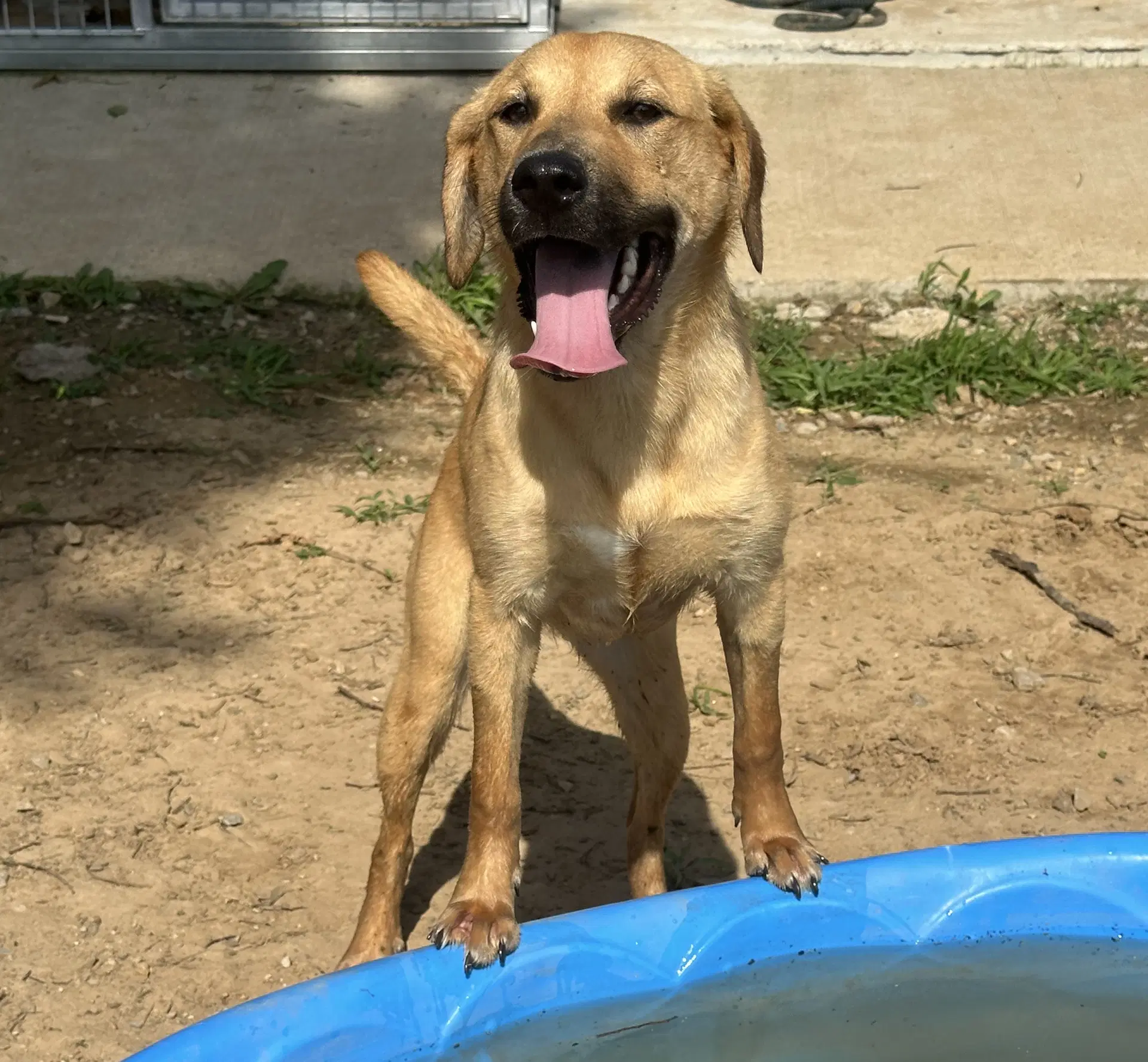 Darcy image 4