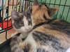 Denise & Patch - Photo 4