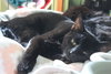 Sleepy - Photo 1