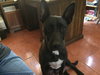 Starr