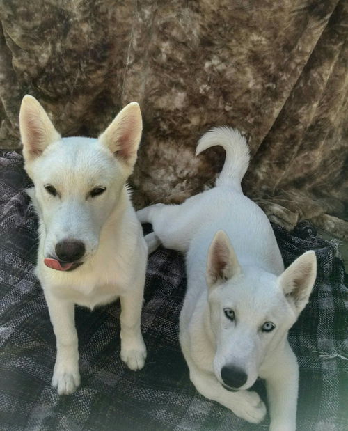 Bear and Bonnie