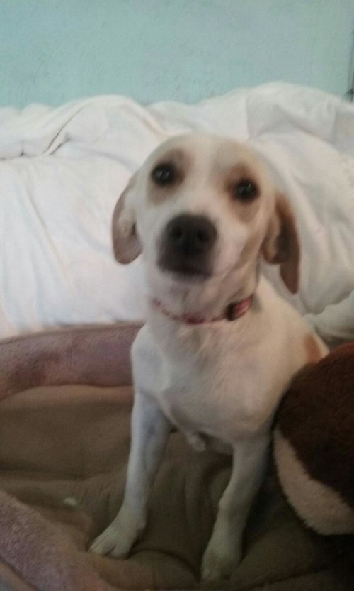 Suzie