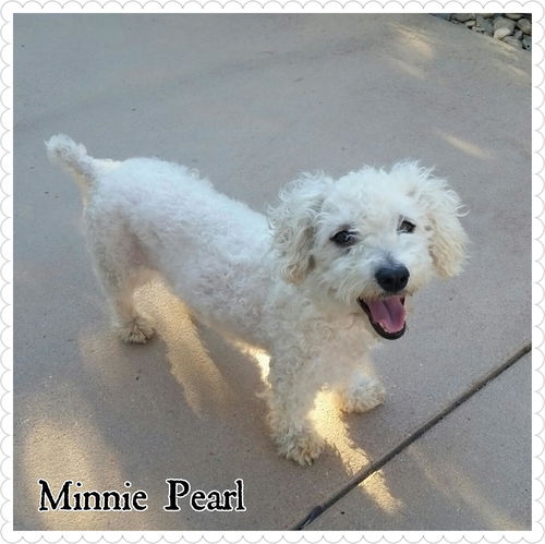 Minnie Pearl