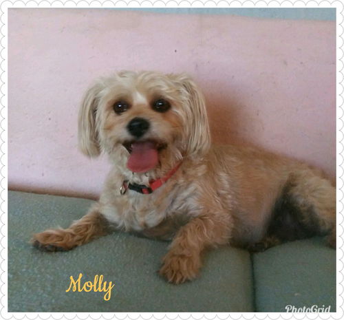 Molly