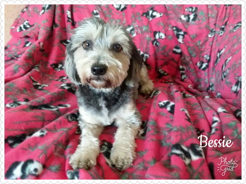 Bessie