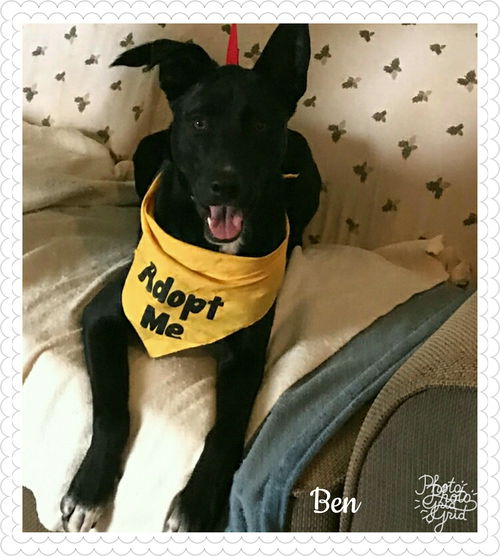 Ben