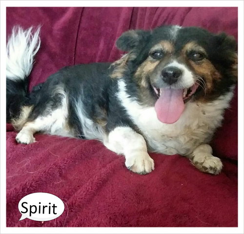 Spirit