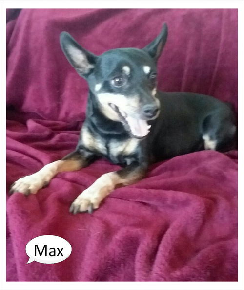 Max