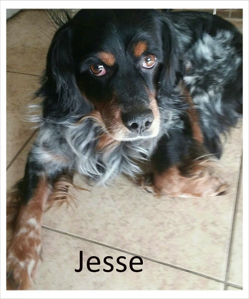 Jesse