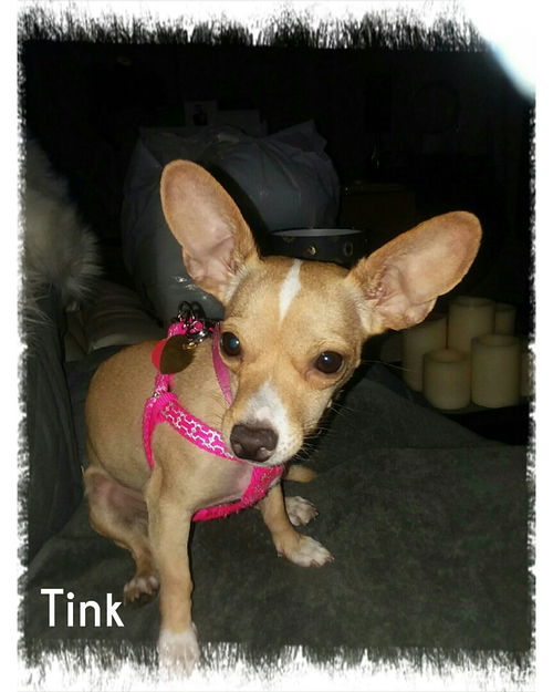 Tink