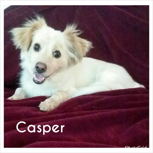 Casper