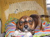 Cubby