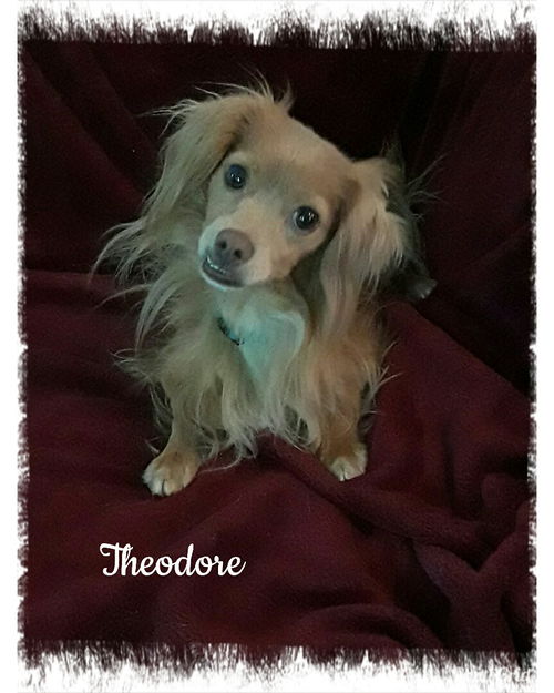 Theodore