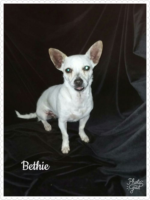 Bethie