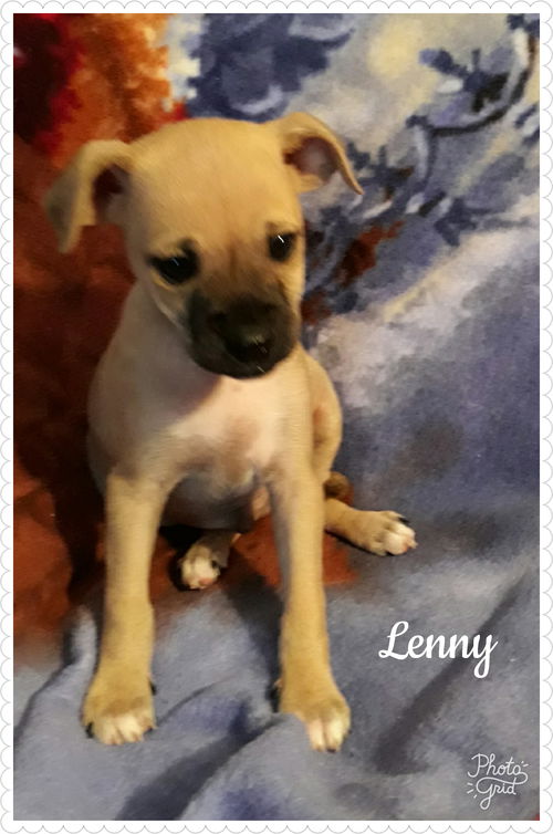 Lenny